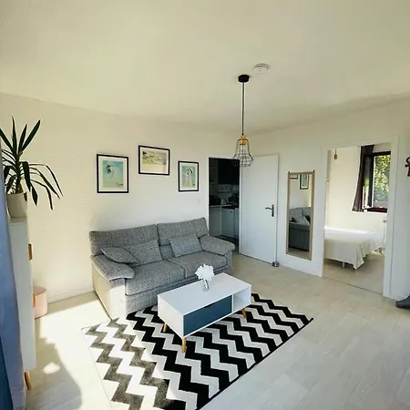 Apartment F2 Pres Debarcadere, En Centre Ville, Des Thermes Les Bains 2 Etoiles